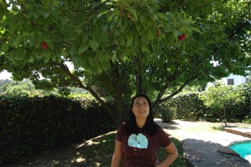 2617 lakewood plum tree