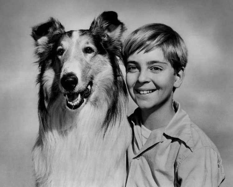 Lassie Tommy Rettig Circa 1955